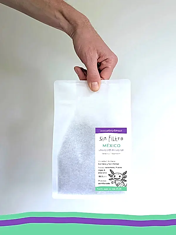 café Veracruz México grano café de especialidad