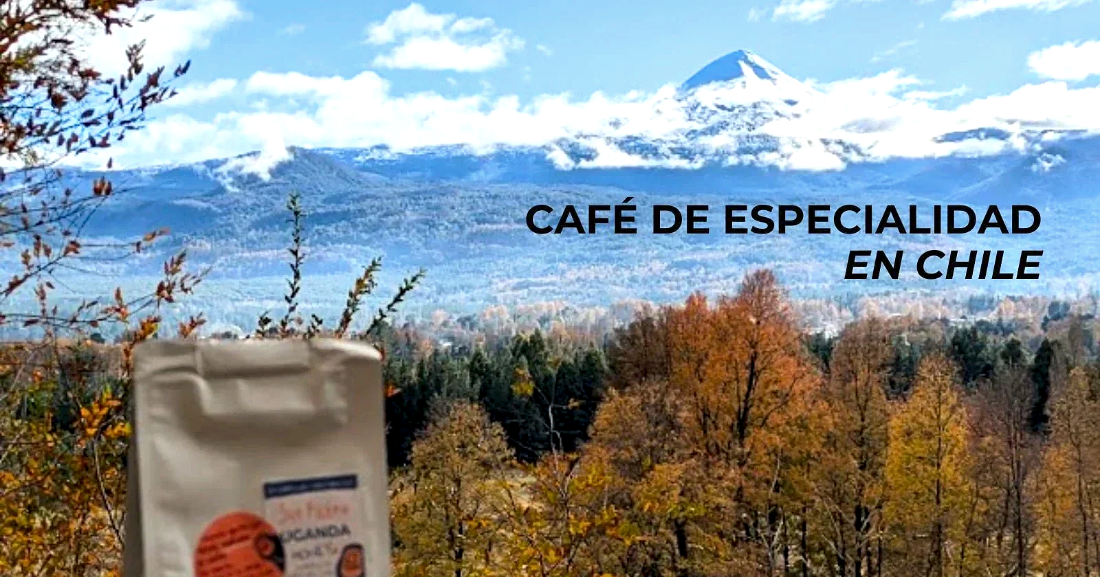 Café de especialidad en Chile: qué es, qué buscar y cómo no botar tu plata - Café Sin Filtro