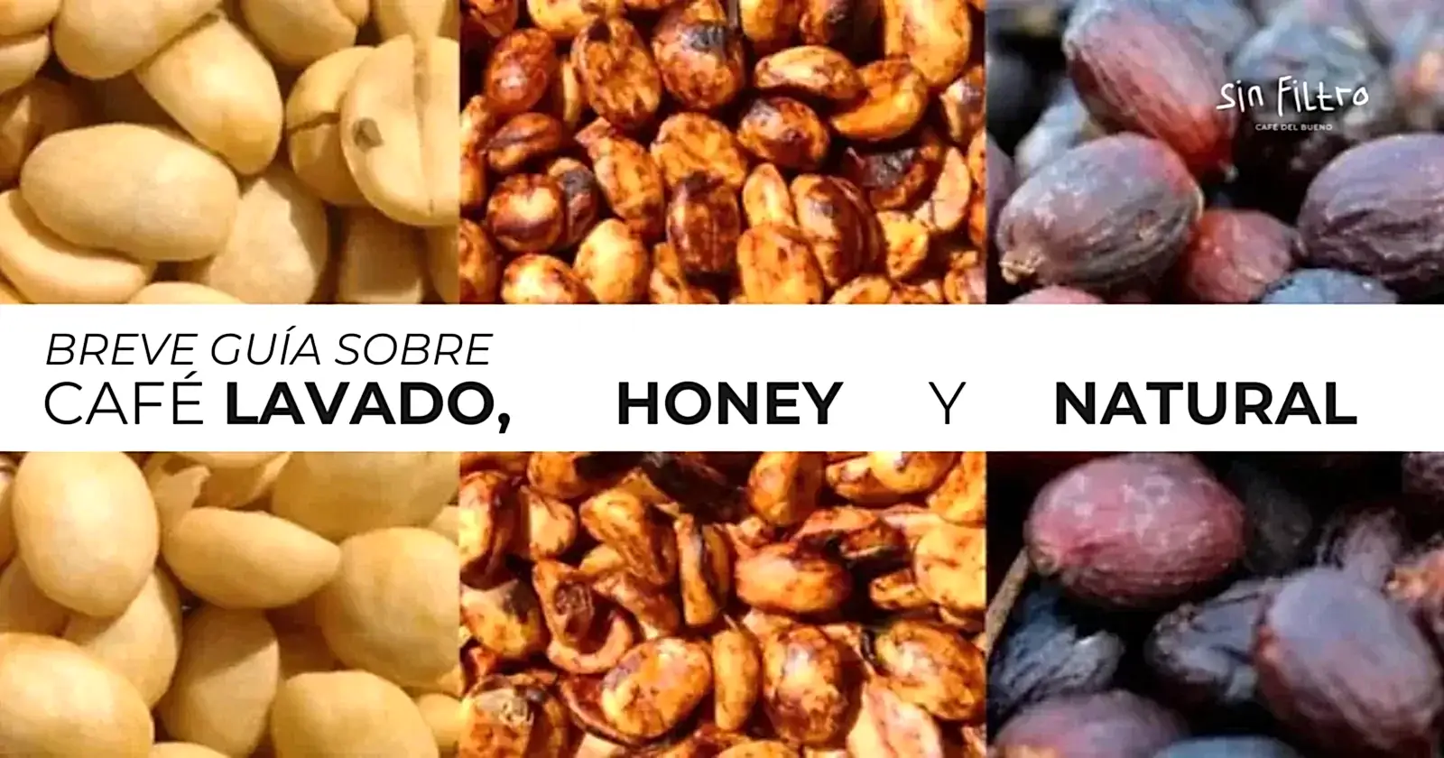 Café lavado vs natural vs honey: ¿cuál es la diferencia y cuál te conviene? - Café Sin Filtro