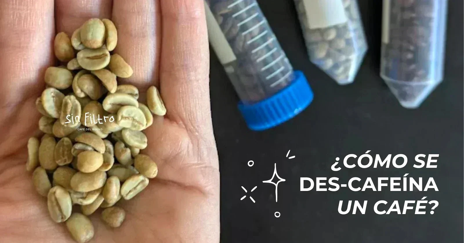 ¿Cómo se hace el café descafeinado? Todo lo que nadie pregunta - Café Sin Filtro