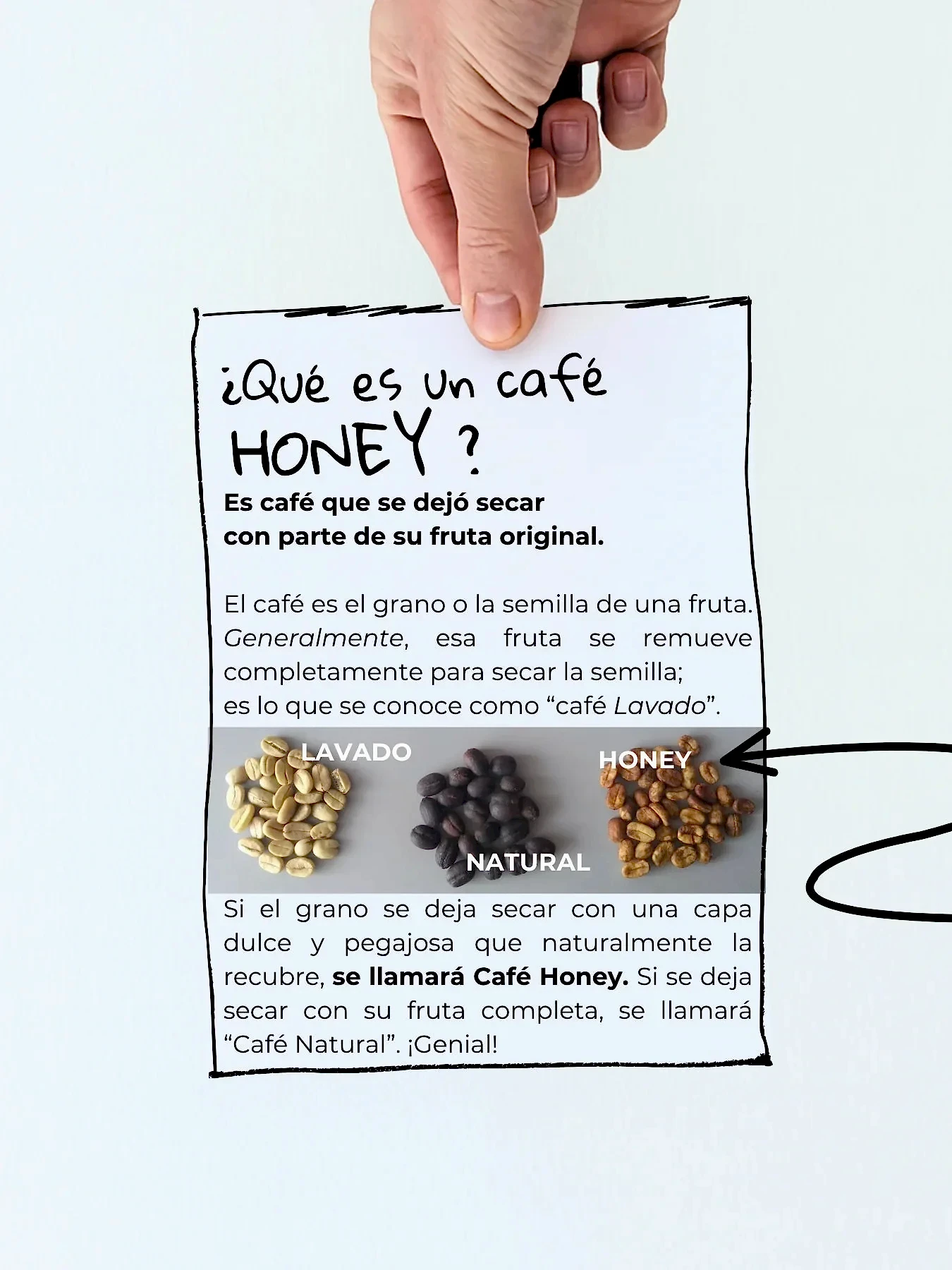 Bourbon Rosado Honey - Café Sin Filtro