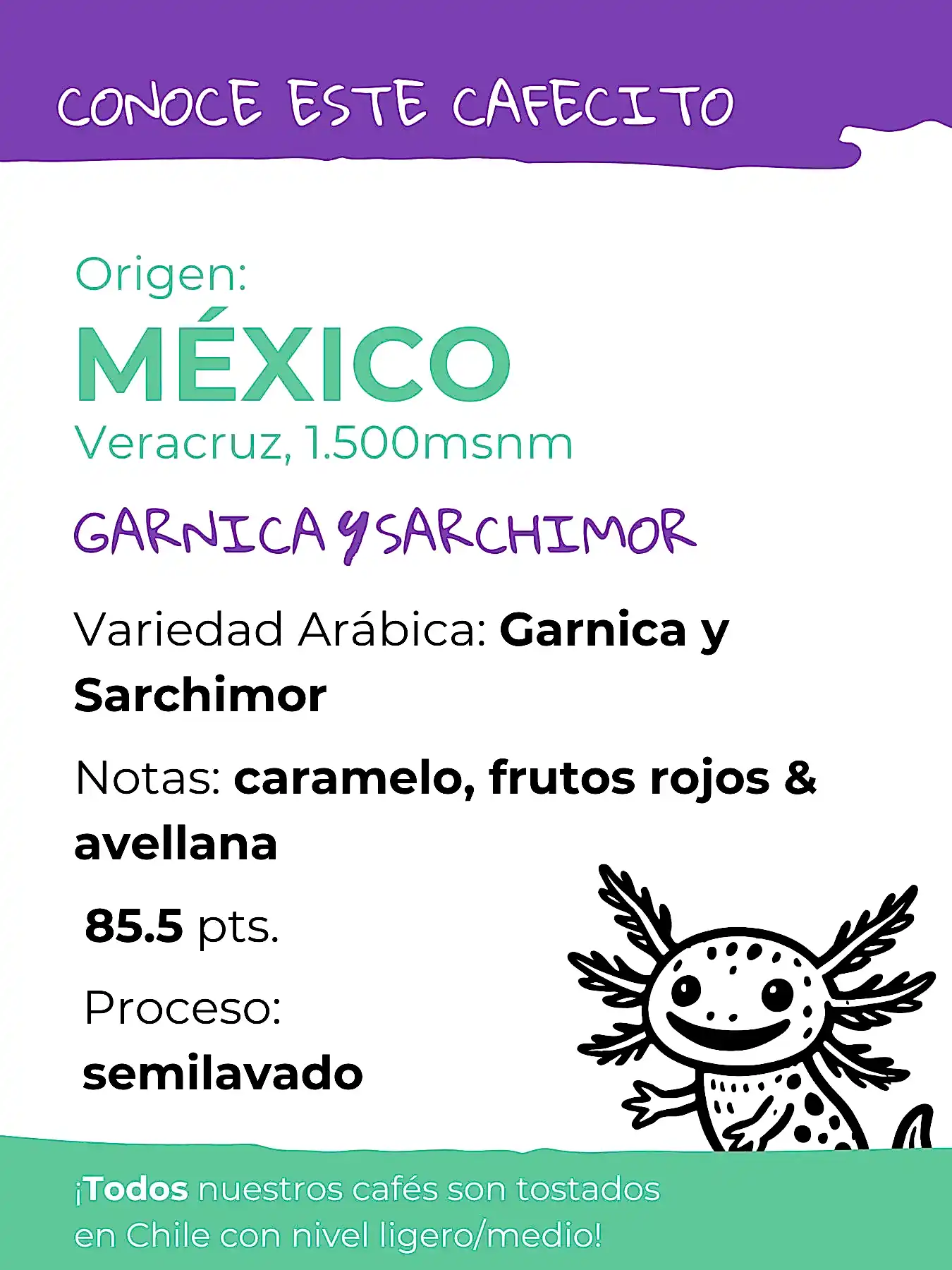 café de especialidad México notas caramelo frutos rojos