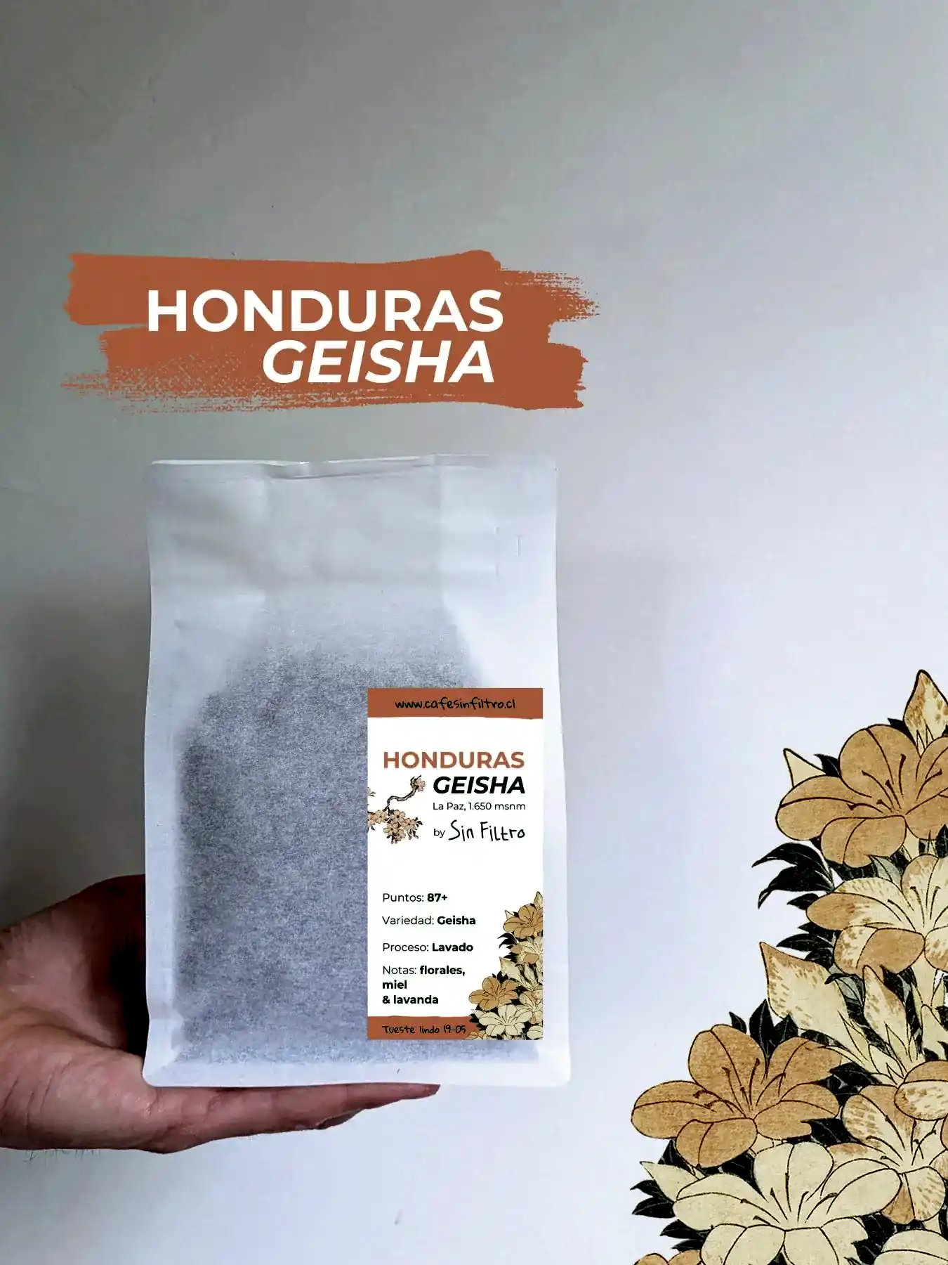 Honduras Geisha | Café de Especialidad Tostado en Chile - Café Sin Filtro